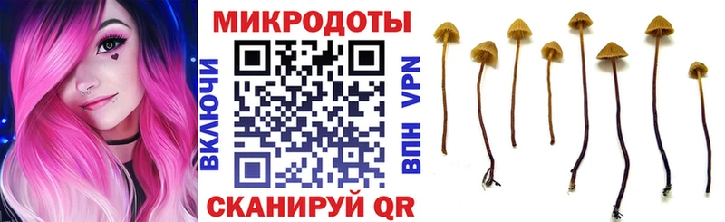 Галлюциногенные грибы мухоморы  Ялуторовск 